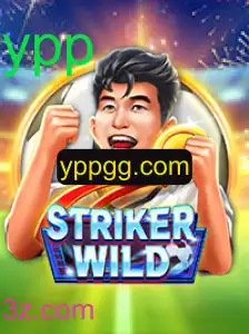 O Novo Fenômeno dos Jogos: Explorando StrikerWILD